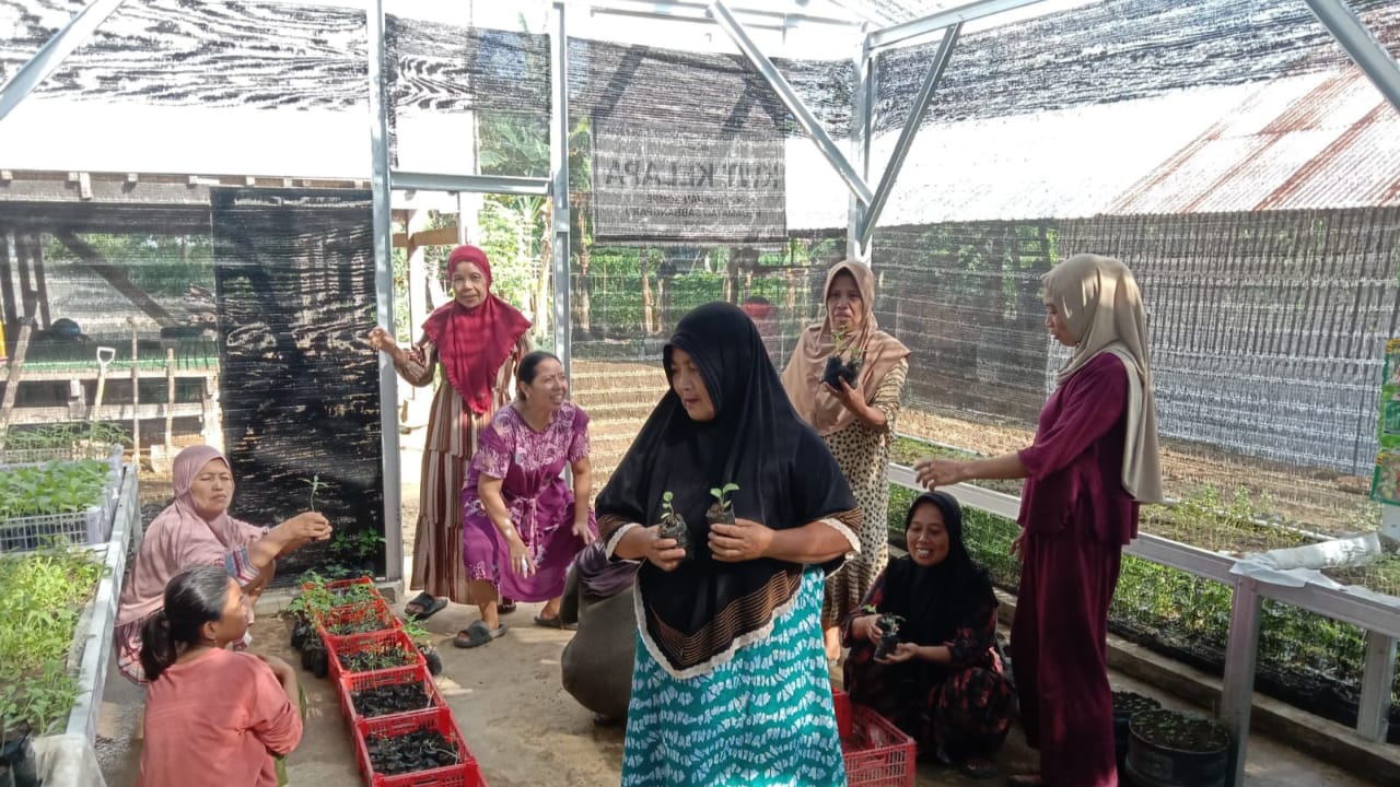 KWT Kelapa Kelurahan Sompe Gelar Kerja Bakti dan Kegiatan Berkebun Rutin di Kebun B2SA